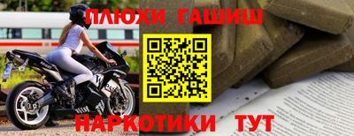 крисы Гатчина