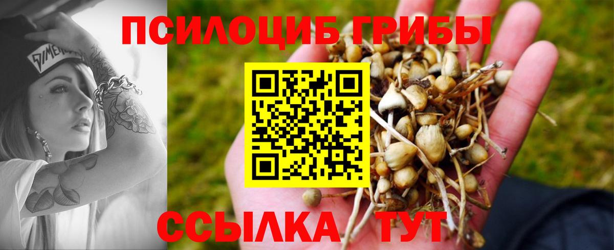 Галлюциногенные грибы мухоморы  Галлюциногенные грибы Magic Shrooms  Гуково  Вход с VPN 