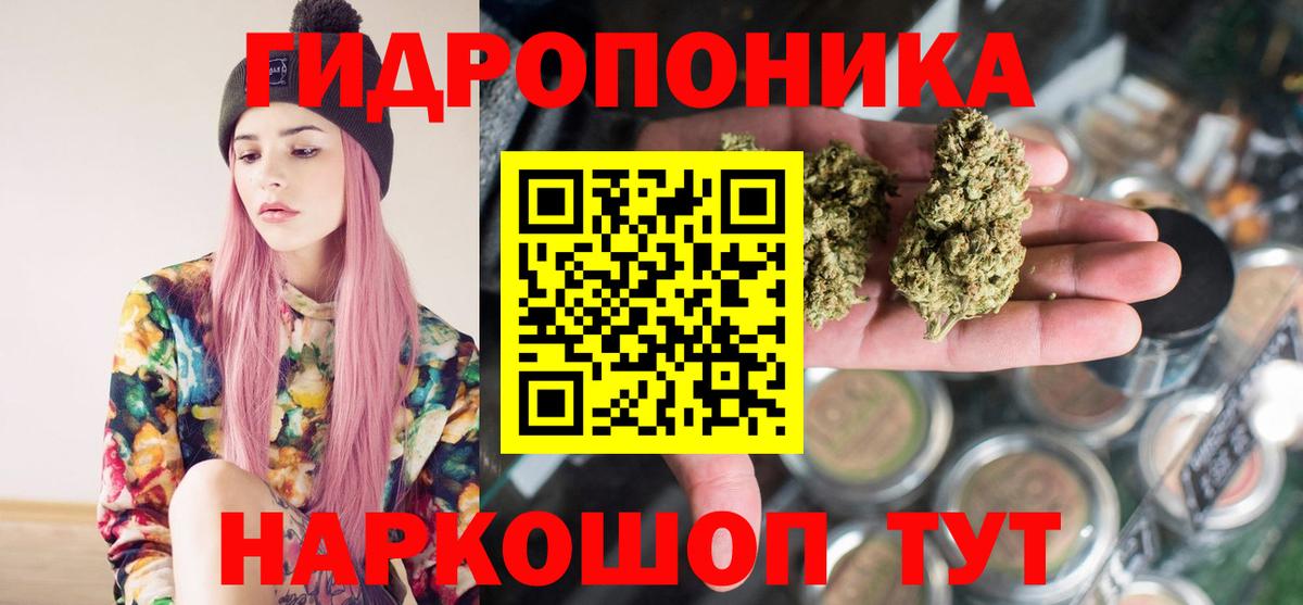 Марихуана план Гуково